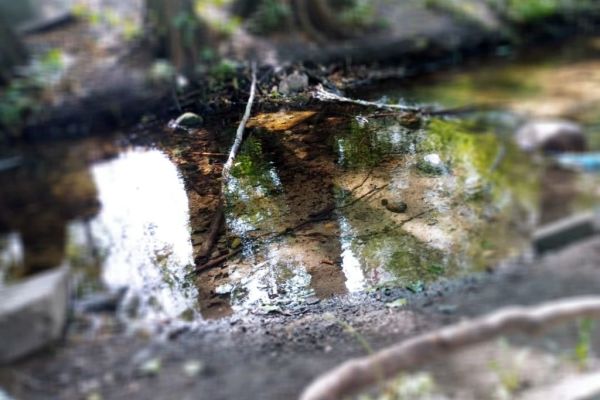 88e3ab3ed-de0d-11d4-2c92-7b7525a37d7eFF9491F0-A097-1448-4575-8931C318A723.jpg